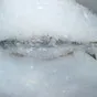 льдогенераторы чешуйчатого льда в Петропавловске-Камчатском 2